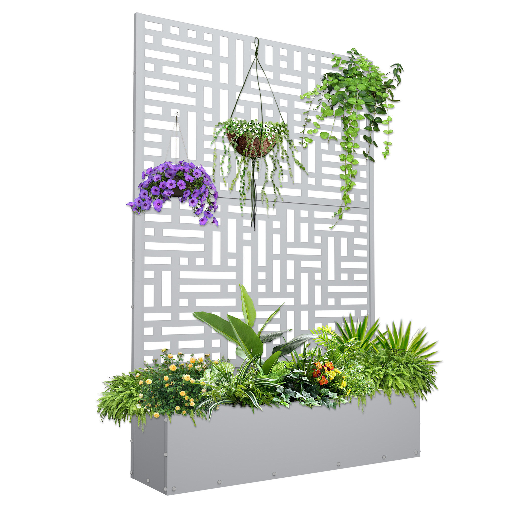 Amazon.com: zazzy Grow Tent 60